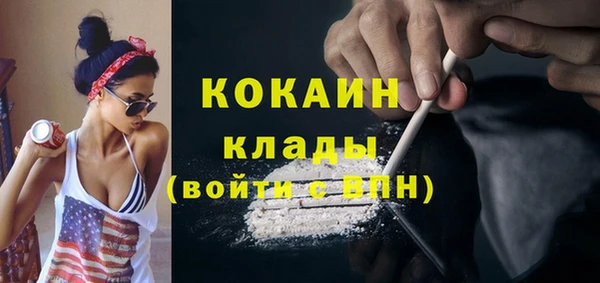 сатива Бородино
