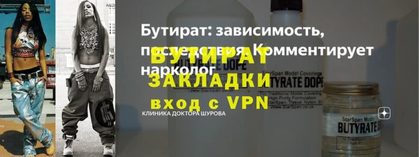 сатива Бородино