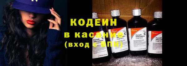 сатива Бородино