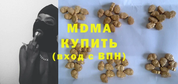 сатива Бородино