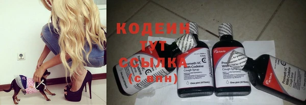 сатива Бородино