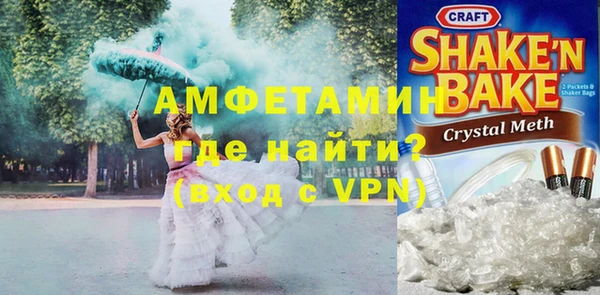 сатива Бородино