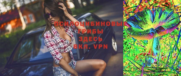 сатива Бородино