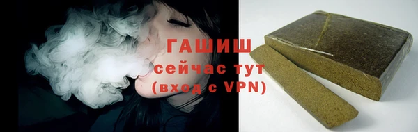 сатива Бородино