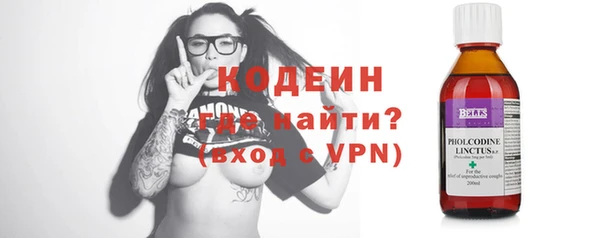 сатива Бородино