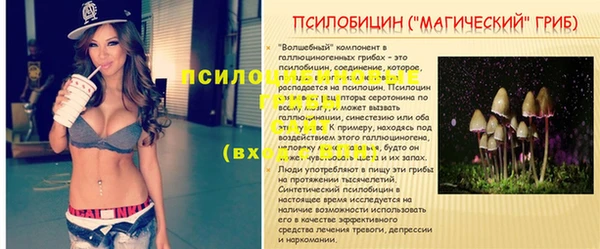 ALPHA PVP Бугульма