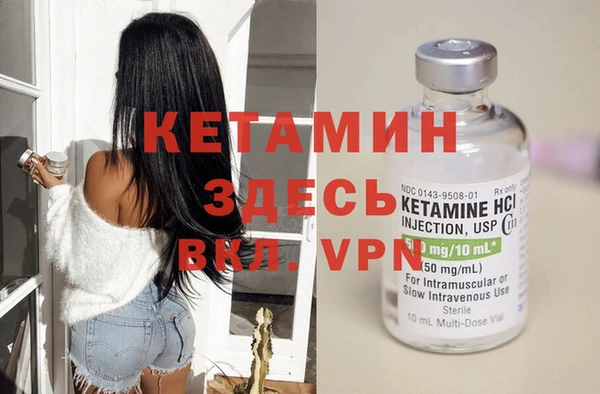 сатива Бородино