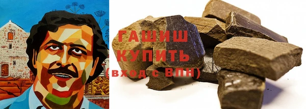 сатива Бородино